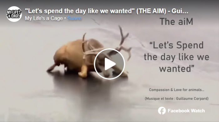 Let's Spend the Day - Facebook version